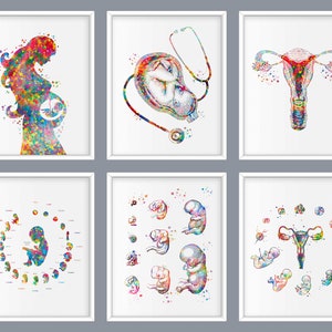 6 Pregnancy and childbirth art, Obstetrics art, Fetus in womb, Female uterus drawing, Embryo development, Pregnant gift, Woman anatomy art