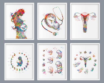 6 Pregnancy and childbirth art, Obstetrics art, Fetus in womb, Female uterus drawing, Embryo development, Pregnant gift, Woman anatomy art