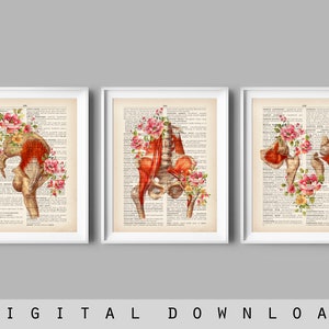 Pelvic Anatomy Art Hip Anatomy Poster Vintage Dictionary Page Floral Medical Art Chiropractor Gift Clinic Wall Decor Doctor Clinic Gift
