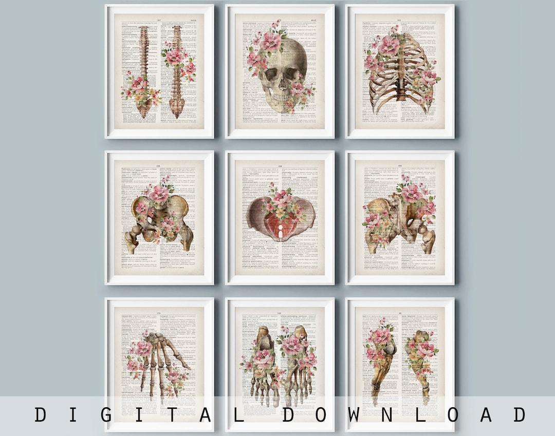 Anatomy Art Prints: Floral Skeleton Medical Dictionary Decor (digital ...