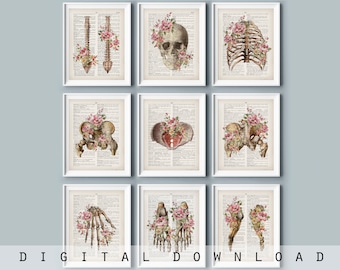 Anatomy Art Prints: Floral Skeleton Medical Dictionary Decor (Digital Download)