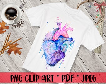 Aquarel anatomische hart clipart: menselijk hart png, klinieklogo (digitale download)