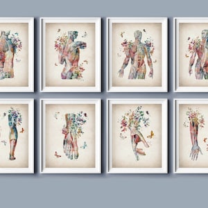 8 Vintage Anatomy Art, Physiology Art, Muscular System Diagram, Medical Art, Massage Clinic Wall Decor, Physiotherapist Gift, Surgeon Gift