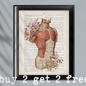 Human Muscular System Anatomy Art Front Muscles Structure Physiology Artwork Medical Dictionary Art Masseur Gift Physical Therapist Decor