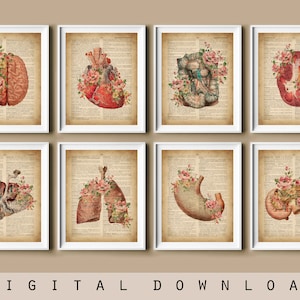 8 Anatomical Organs Art Anatomy Art Medical Art Vintage Anatomy Dictionary Page Painting Doctor Gift Surgeon Gift Nurse Gift Doctor Office