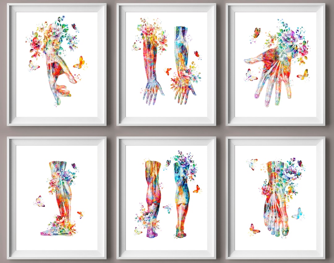6 Floral Anatomy Art Anatomical Foot and Hand Poster Medical Drawing ...