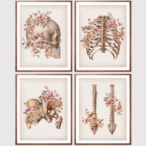 4 Vintage Skeleton Anatomy Art Medical Art Skeletal System Posters Anatomy Painting Orthopedic Surgeon Gift Chiropractor Gift Rheumatologist