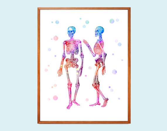 MOVE 2nd color SKELETON BLUE emDASH 【公式通販】