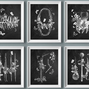 6 Dentist Artwork, Dental Anatomy, Dentistry Poster, Chalkboard Art, Medical Painting, Tooth Anatomy Structure, Orthodontist Gift, Hygienist