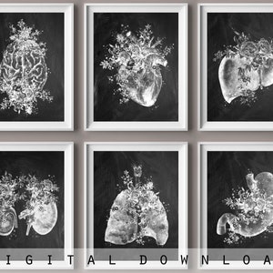 Anatomy art set 6, Chalkboard art, Medical art, Anatomical heart, brain, kidney, lungs printable, For doctor office, Surgeon gift, Nurse art