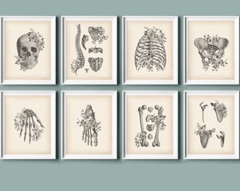 Vintage Skeletal Anatomy Art Prints: Floral Medical Decor (Digital Download)