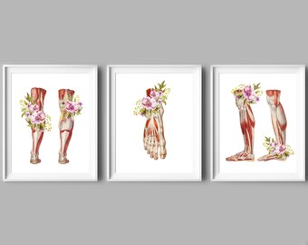 May include: Three printable art prints featuring anatomical illustrations of human legs and feet with floral accents. The prints are framed in white and have a white background.