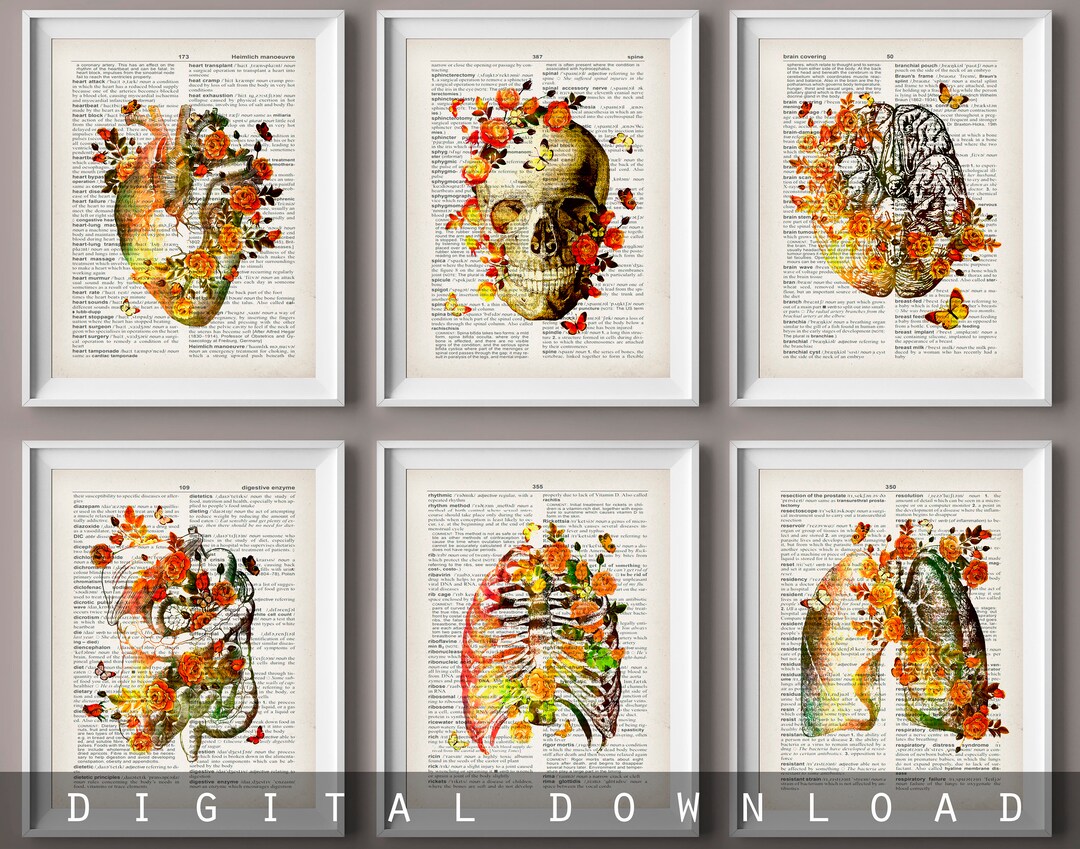 6 Floral Anatomy Art Watercolor Medical Artwork Dictionary Art ...
