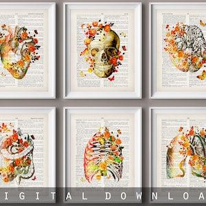 6 Floral Anatomische Kunst Aquarell medizinische Kunstwerk Wörterbuch Kunst Anatomisches Herz Kunst Menschlicher Schädel Kunst Blumen Gehirn Kunst Arzt Geschenk