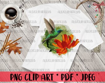 Colibrí Acuarela PNG Clipart Tropical Bird Hand Painting Sublimation Design Exotic Bird Digital Download