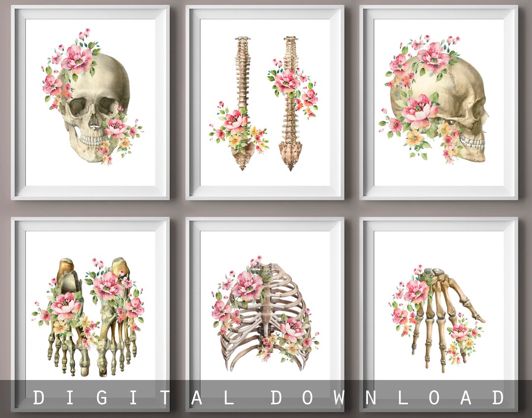 Skeletal System Art Human Skeleton and Flowers Skull Art Etsy