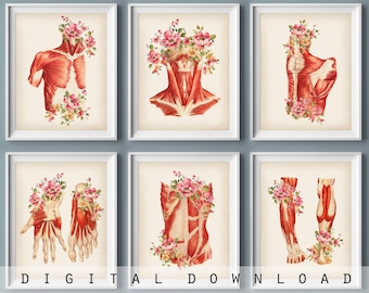 Muskel Anatomie Art Prints: Florales medizinisches Dekor (Set von 6) (Digitaler Download)