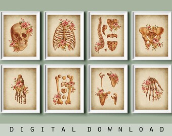 Vintage Floral Skeletal Anatomy Art Prints: Medical Artwork (Digital Download)