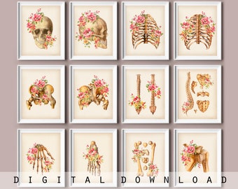 12 Skeleton Vintage Art Skeletal Anatomy Poster Skeleton Poster Chiropractic Art Orthopedic Surgeon Office Art Gothic Poster