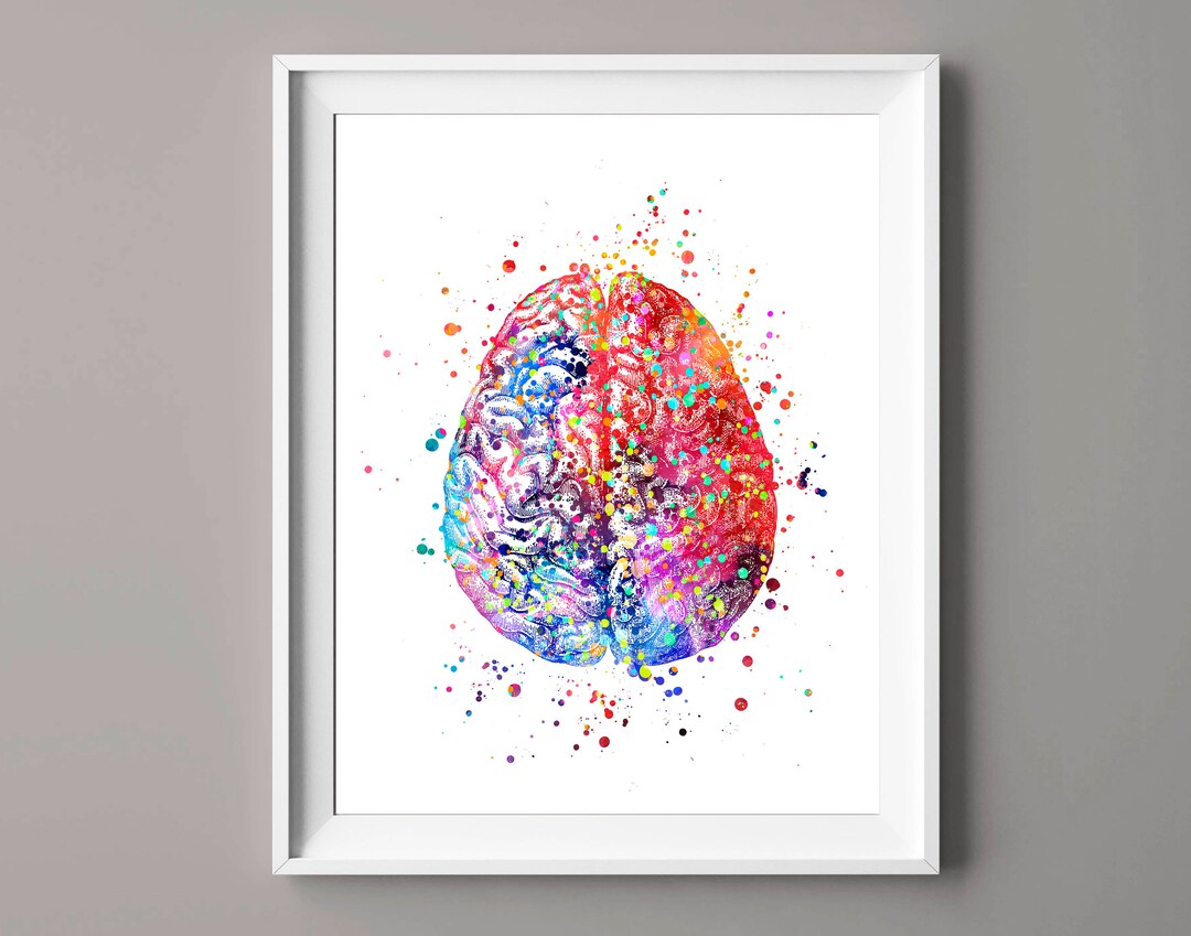 Watercolor Brain Anatomy Art Neuroscience Art Neurology Art Medical Art ...