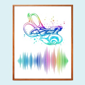 Druk ślimakowy, sztuka Audiowaves, anatomia ucha wewnętrznego, układ przedsionkowy, prezent dla audiologa, wystrój medyczny, ucho anatomiczne, sztuka ścienna kliniki
