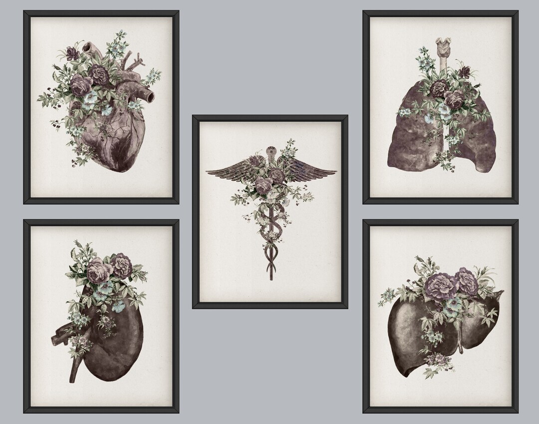 5 Vintage Anatomy Art Floral Medical Artwork Caduceus Art Anatomical ...