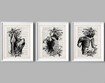 Antique Muscle Anatomy Art Prints: Medical Physiology Decor (11x14) (Digital Download)