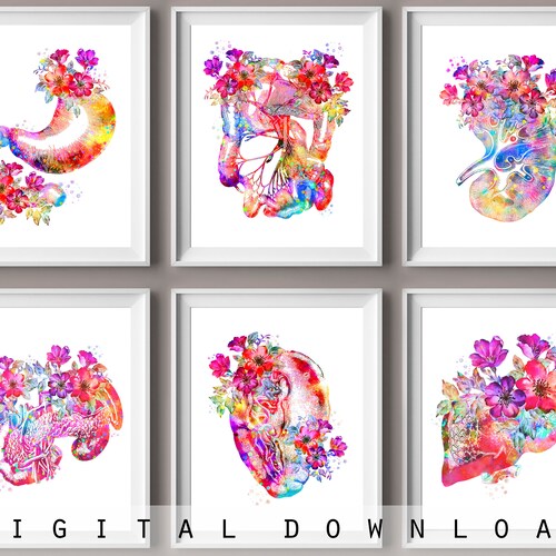 Digestive System Anatomy Art Gastroenterologist Gift GI Tract - Etsy