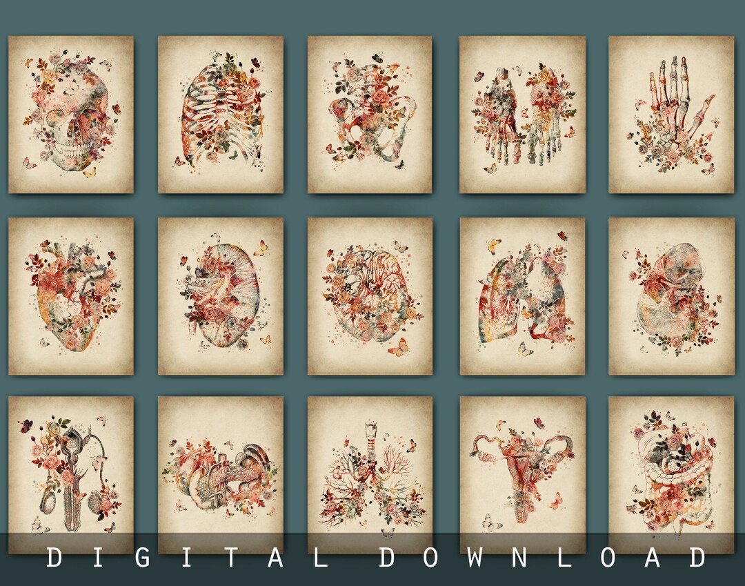 Watercolor Anatomical Drawing Art Set of 15 Human Organ Artwork Medical ...