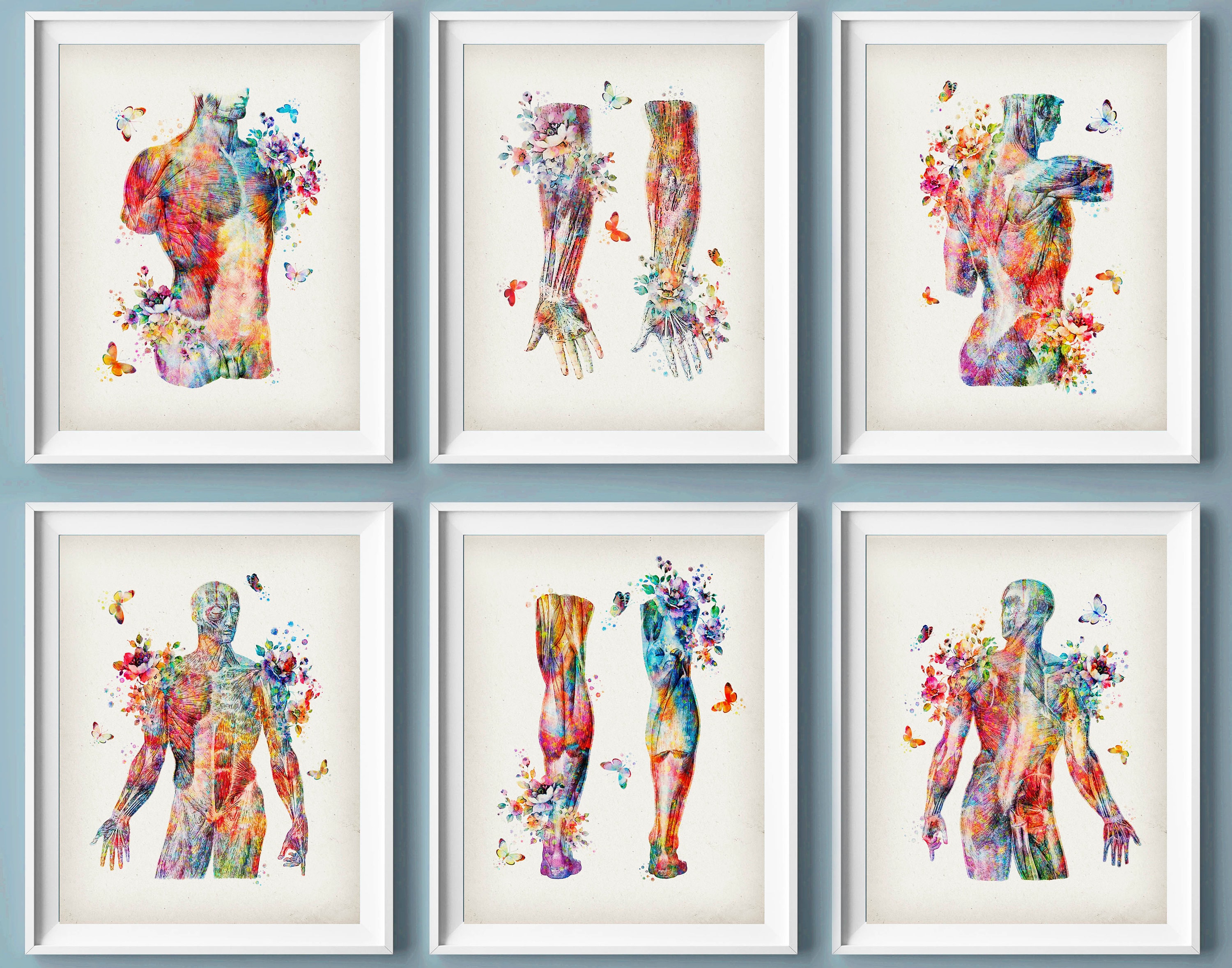 Watercolor Muscular System Anatomy Art Prints: Medical Decor (set of 6 ...