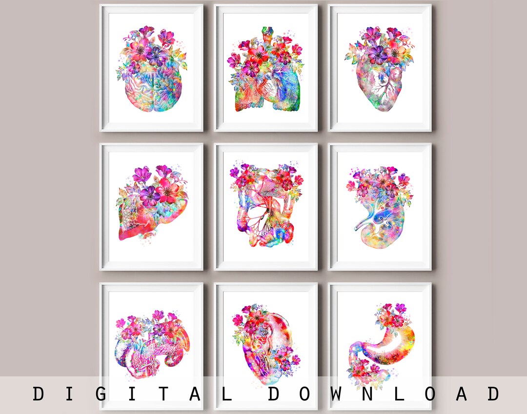 Human Anatomy Art Set of 9 Watercolor Drawing Medical Artwork Surgeon ...