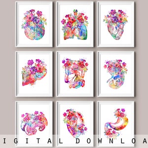 Human Anatomy Art Set of 9 Watercolor Drawing Medical Artwork Surgeon Gift Clinic Wall Art Doctor Office Gift Doctor Graduation Nurse Gift