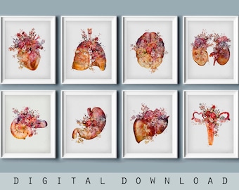 アンティーク解剖図 大判アート作品 Amazon.co.jp: Bigwig Prints Da Vinci 人体解剖学ポスター