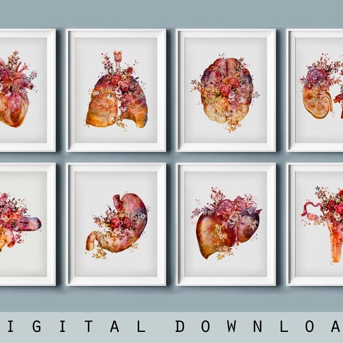 Anatomy Set 12 Watercolor Medical Art Human Anatomical Organs - Etsy