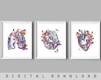 Floral Anatomy Art Prints: Hand Drawn Human Organs (Digital Download)