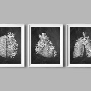 Arzt Geschenk, Anatomie, medizinische Dekor, Tafel Zeichnung, Anatomisches Organ, Herz und Blume, Gehirn, Lunge druckbare Kunst