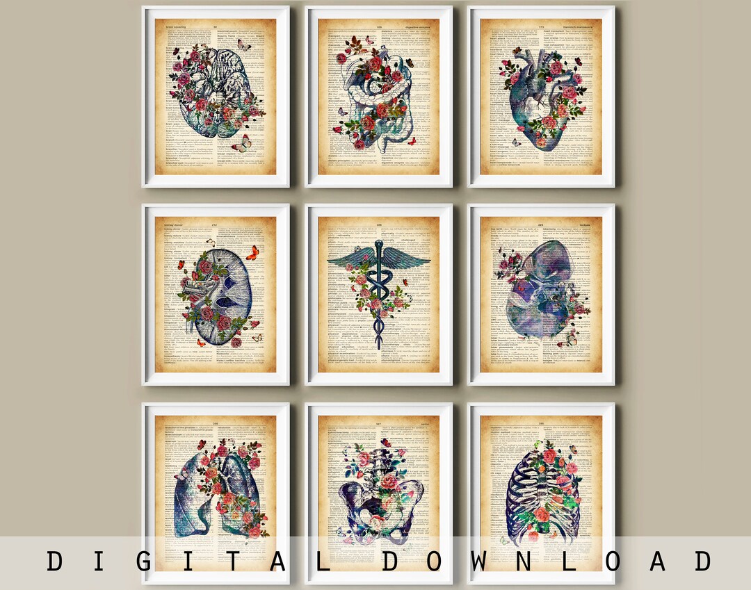 Antique Anatomy Art Prints Set: Vintage Medical Dictionary Art (digital ...