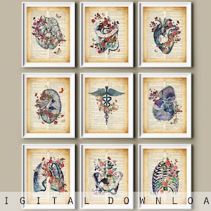 Antique Anatomical Art Set of 9 Medical Drawing Dictionary Artwork Vintage Illustration Human Anatomy Painting Clinic Wall Decor Doctor Gift