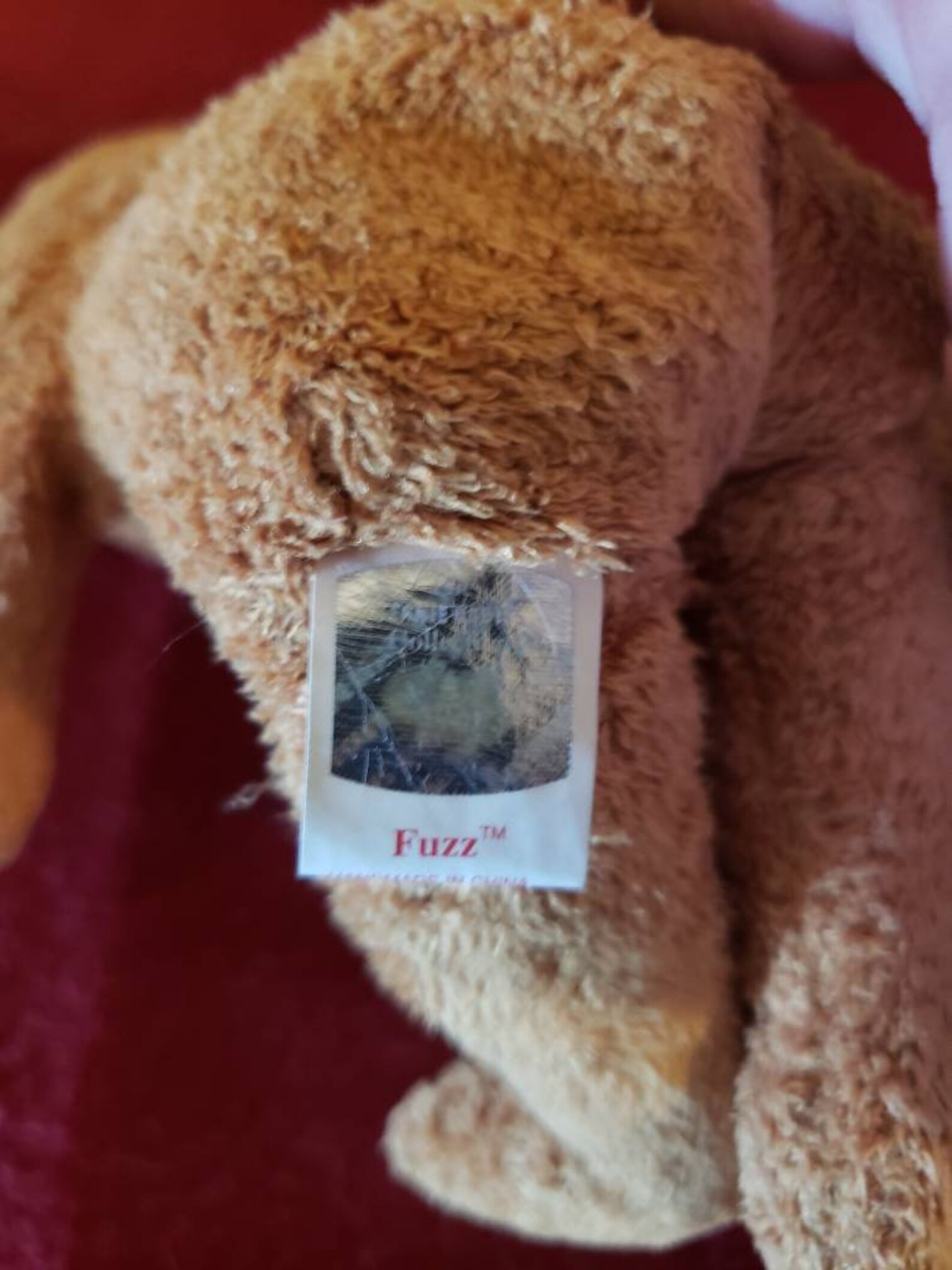 RARE Fuzz Beanie Baby With ERRORS Etsy