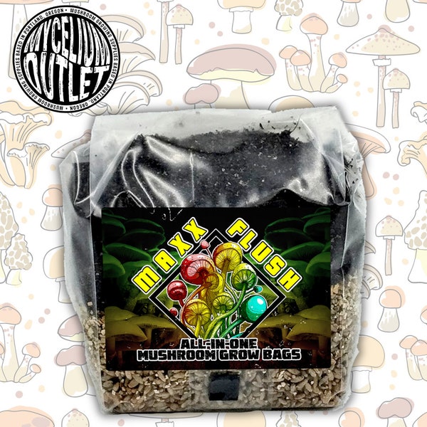 Maxx Flush™ All in One Mushroom Grow Bag (CVG Mix)