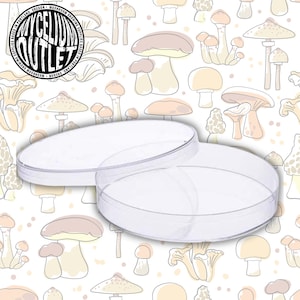 Petri Dish, Sterile, 100mm x 15 mm, 25 per Bag, Clear