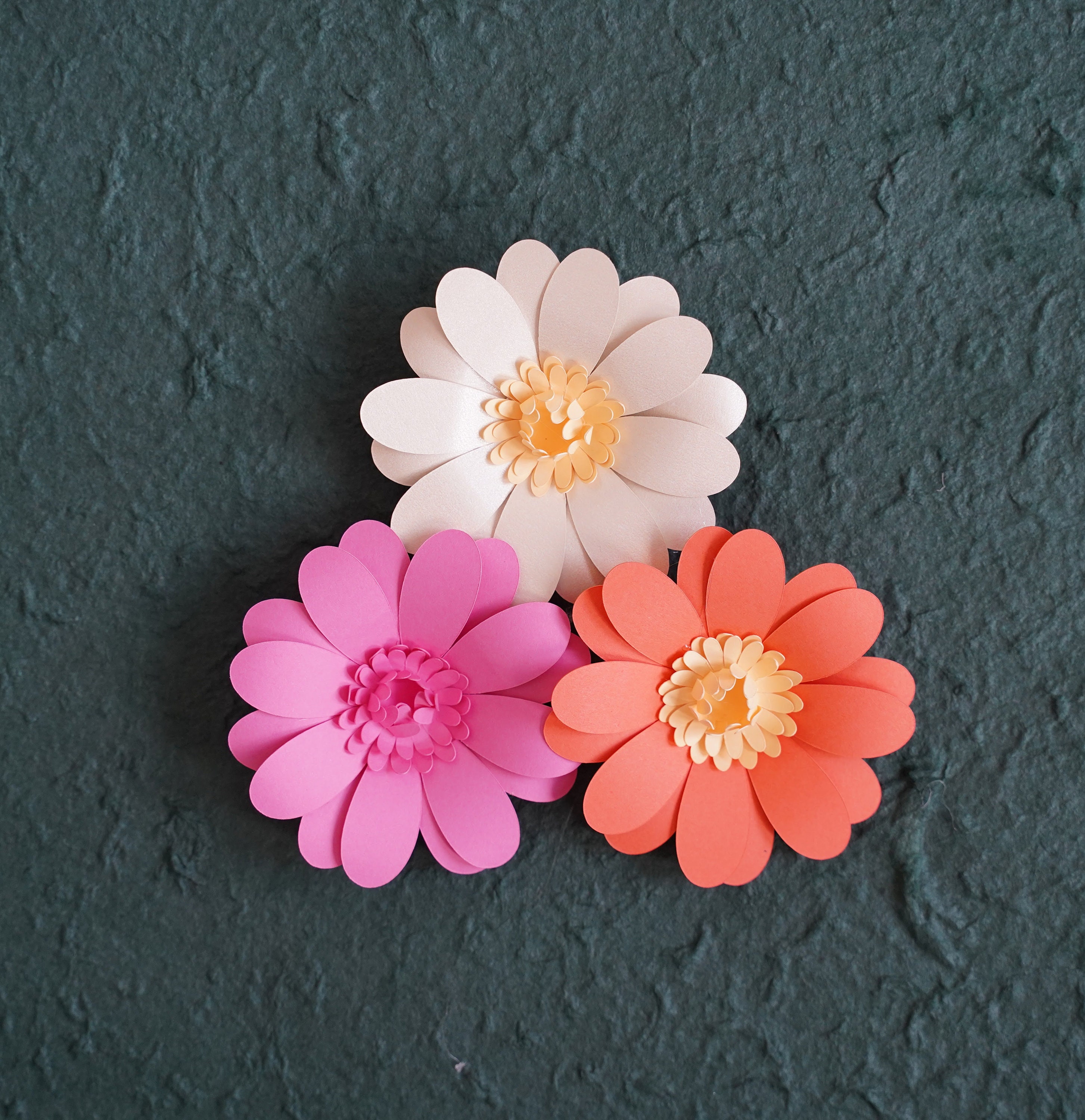 Daisy Paper Flower Template