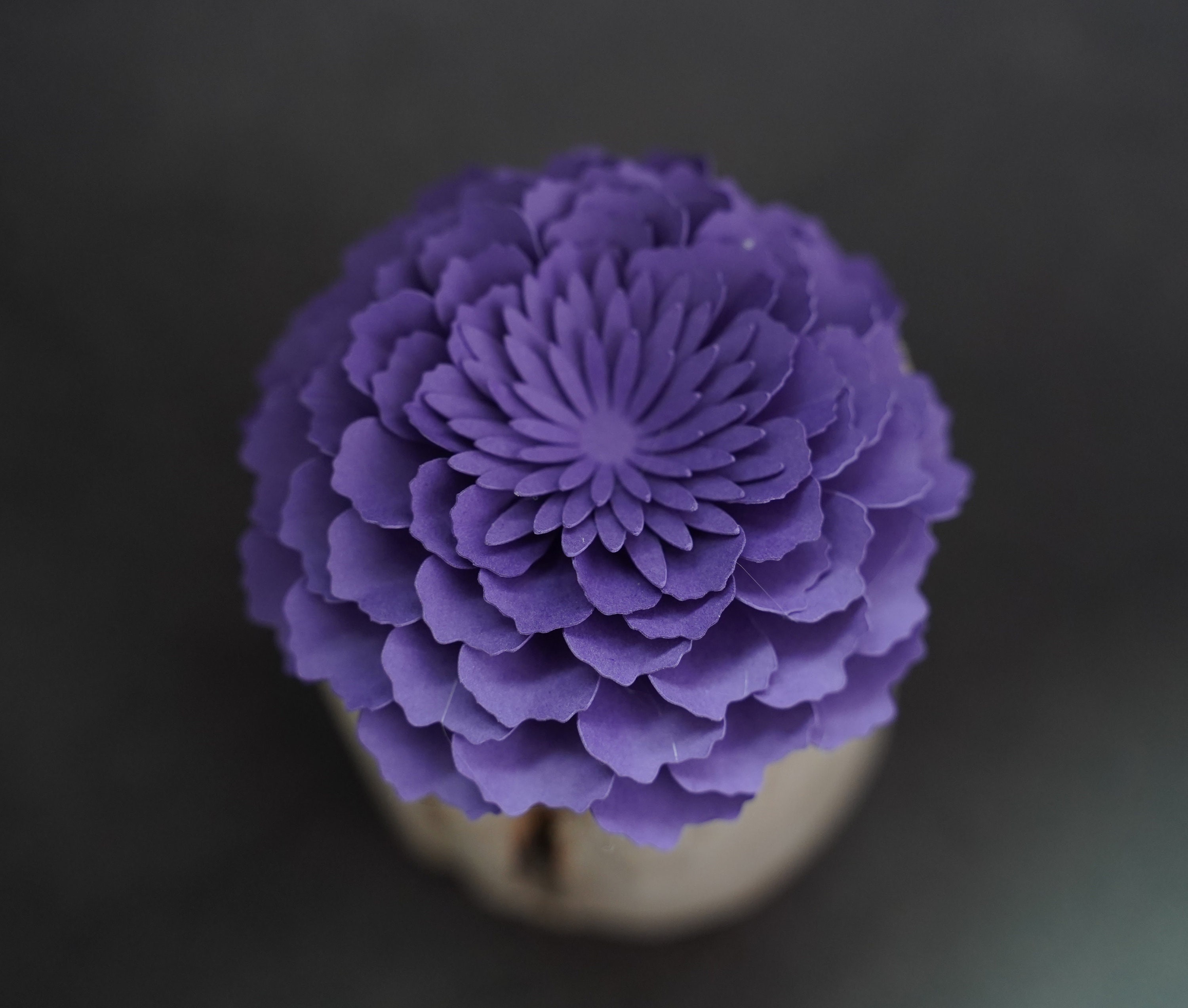 Free Free 290 Zinnia Flower Svg SVG PNG EPS DXF File