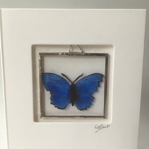 Blauer Schmetterling Grußkarte