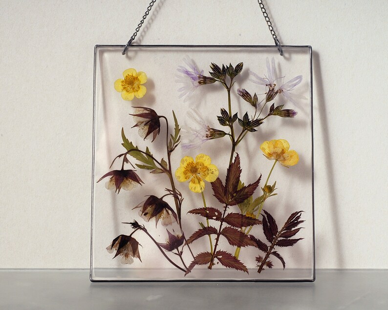 Frame pressed flowers in resin Pressed flower art Floating Etsy