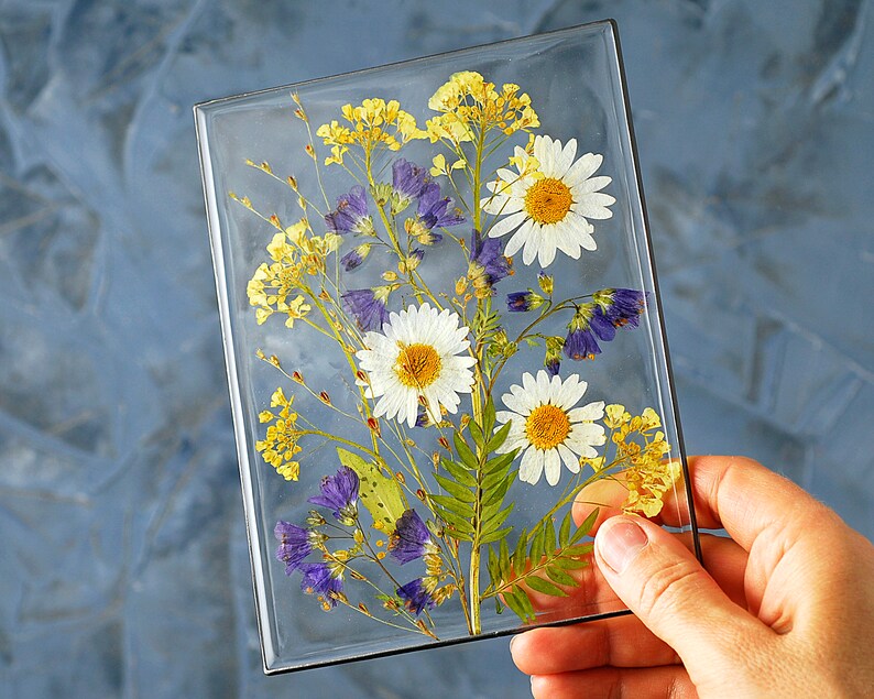 Framed Pressed Flowers for Home Decor Pressed Flower Frame Etsy