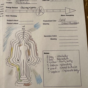 Auric Diagnostic Reading