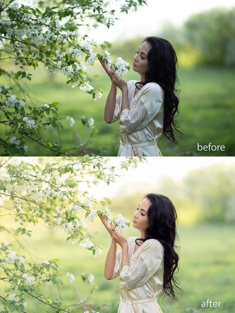 Fine Art Presets Collection Bundle Lightroom Desktop Etsy