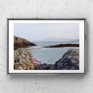 Isle of Eriskay Print, Outer Hebrides print, Scottish photography, Outer Hebrides photography, Scottish islands, sea pinks