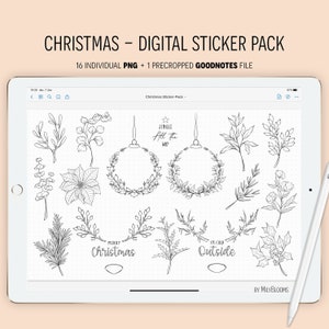 Winter Floral Christmas Planner Stickers: Digital Journal Bujo (PNG & Goodnotes File)